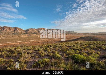 A dusty outback road winds through bushland towards distant ranges lit ...