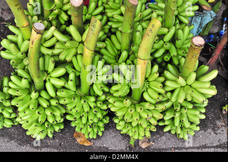 Bunch of green bananas on floor in market Stock Photo