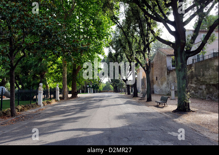 Italy Rome. View on Pincian Pincio Hill of Viale di Villa Medici, a leafy avenue lined with marble busts of celebrated Italians. Stock Photo