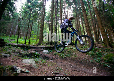 A mountain biker catches air as he jumps over a log while riding down a trail in Graz, Austria Stock Photo