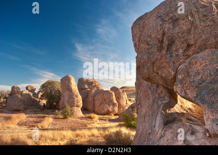 Volcanic rock formations at City of Rocks State Park, Mimbres Valley, Chihuahuan Desert, New Mexico, USA Stock Photo