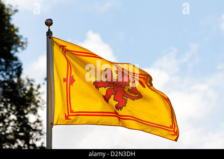 The ancient royal flag of the monarch of Scotland the Rampant Lion Stock Photo