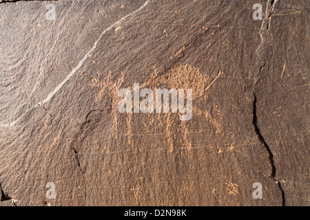 Rock art at the site of Foum Chenna, Oued Tasminaret Valley, Morocco, North Africa Stock Photo