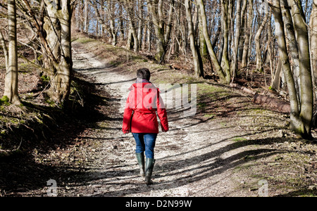 A woman in a red coat blue jeans and green wellington boots walking along a path lined by trees in winter in West Sussex England Stock Photo