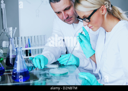 two scientist in chemical lab conducting experiments Stock Photo