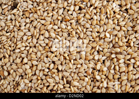 Sesame Seeds Stock Photo
