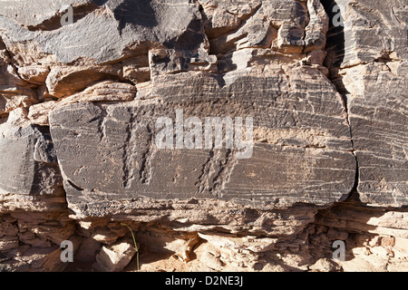 Rock art at the site of Foum Chenna, Oued Tasminaret Valley,  Tinzouline, Draa Valley, Morocco, North Africa Stock Photo