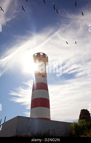 A lighthouse is surrounded by seagulls in Mazatlan, Mexico Stock Photo