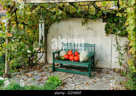 Dekoration mit Kuerbissen - Decorating with pumpkins • Landkreis Schwaebisch Hall, Baden-Wuerttemberg, Deutschland Stock Photo