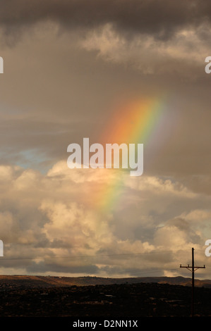 A rainbow colors the sky on a stormy winter day in the Santa Catalina Mountains above the Sonoran Desert, Catalina, Arizona, USA Stock Photo