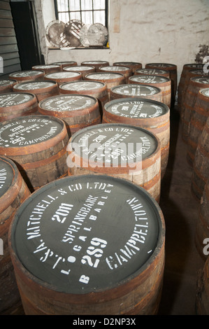 Scotland, Campbeltown, Springbank Distillery, whisky aging barrels Stock Photo