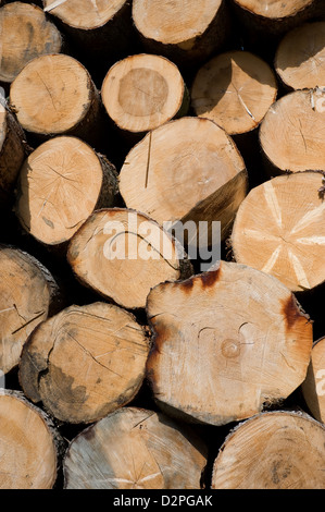 Heitersheim, Germany stacked tree trunks Stock Photo