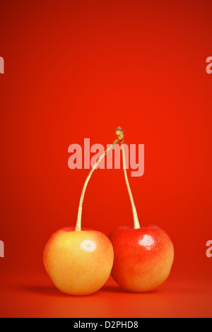 fresh pink cherries with stem on red background Stock Photo