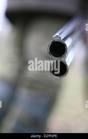 The barrels of a double barrel over under shotgun. Stock Photo