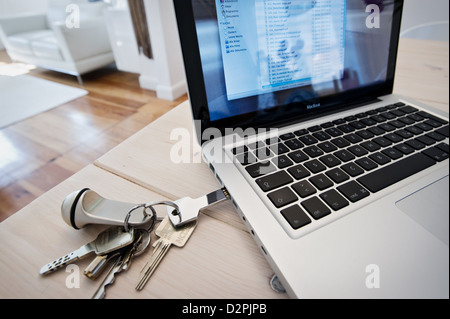Hamburg, Germany, USB flash drive to a MacBook Stock Photo