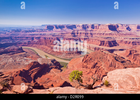Colorado River Gooseneck Bend, Dead Horse Point State Park Overlook, Utah, United States of America, North America Stock Photo
