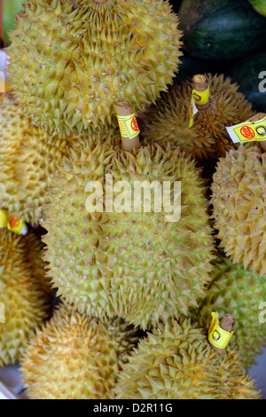 The durian, fruit of several tree species belonging to the genus Durio and the Malvaceae family, Myanmar Stock Photo