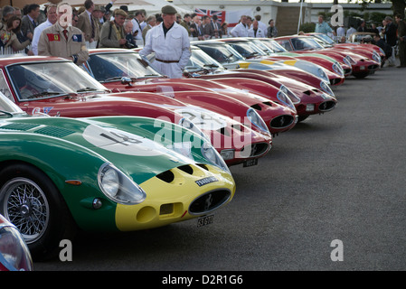 1960's Ferrari 250 GTO racing cars in the paddock before GTO race at Goodwood revival race meeting Stock Photo
