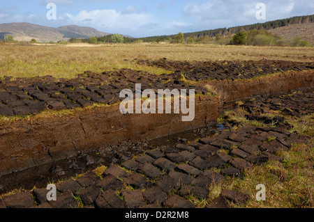 Peat cutting, Isle of Skye, Inner Hebrides, Scotland, United Kingdom, Europe Stock Photo