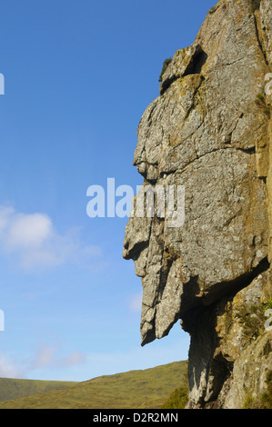 The Grey Man of Merrick, Galloway Hills, Dumfries and Galloway, Scotland, United Kingdom, Europe Stock Photo