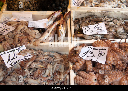 Fish market at Ponte di Rialto, Venice, Veneto, Italy, Europe Stock Photo