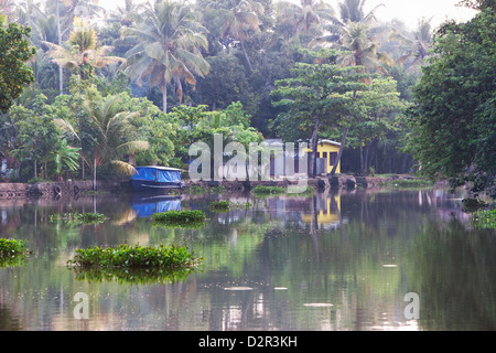 Boat moored on the still Kerala Backwaters, Kerala, India, Asia Stock Photo