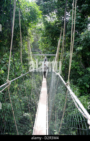 Jungle canopy walkway in taman Negara National Park, Malaysia Stock Photo