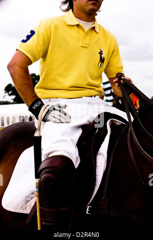 Polo player on horseback resting Stock Photo