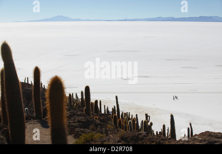 View of people walking on Salar de Uyuni (Salt Flats of Uyuni) from Isla del Pescado (Fish Island), Potosi Department, Bolivia Stock Photo