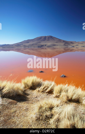 Laguna Colorada on the Altiplano, Potosi Department, Bolivia, South America Stock Photo