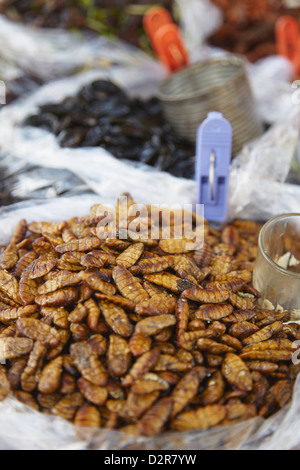 Cambodia food market - insects for food on a food stall, Skuon insect ...
