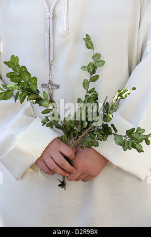 Palm Sunday, Paris, France, Europe Stock Photo