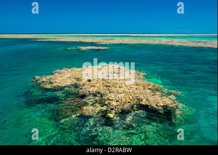 Aerial of the Great Barrier Reef. UNESCO World Heritage Site, Queensland, Australia, Pacific Stock Photo