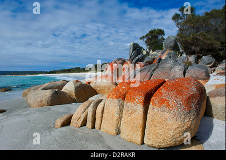 Bay of Fire, voted one of the most beautiful beaches in the world, Tasmania, Australia, Pacific Stock Photo