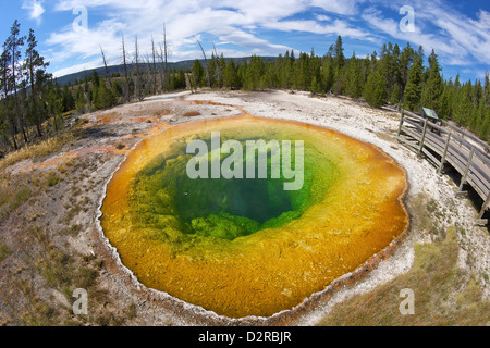 Morning Glory Pool, Upper Geyser Basin, Yellowstone National Park, Wyoming, USA Stock Photo