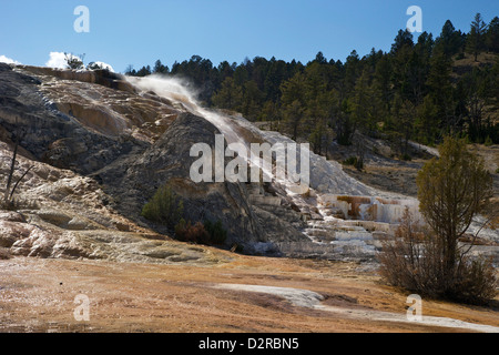 Devil's Thumb and Palette Spring, Mammoth Hot Springs, Yellowstone National Park, Wyoming, USA Stock Photo