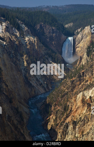 Lower Falls from Artists Point, Grand Canyon of the Yellowstone River, Yellowstone National Park, Wyoming, USA Stock Photo