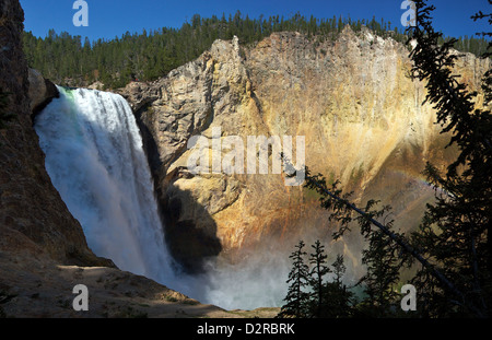 Panoramic photo of Lower Falls from Uncle Tom's Point, Grand Canyon of the Yellowstone, Yellowstone National Park, Wyoming, USA Stock Photo