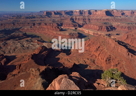 Colorado River from Dead Horse Point Overlook, Dead Horse Point State Park, Utah, United States of America, North America Stock Photo