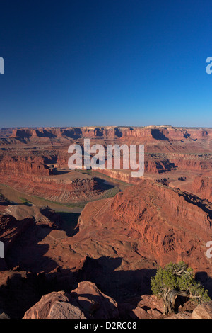Colorado River from Dead Horse Point Overlook, Dead Horse Point State Park, Utah, United States of America, North America Stock Photo