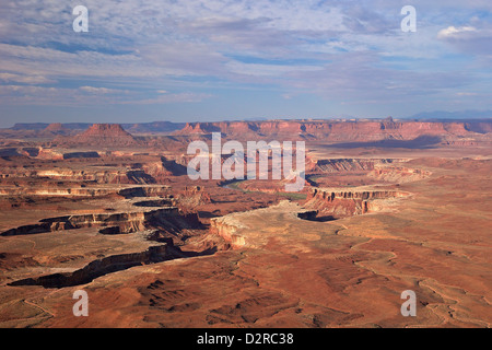 Green River Overlook, Canyonlands National Park, Utah, United States of America, North America Stock Photo