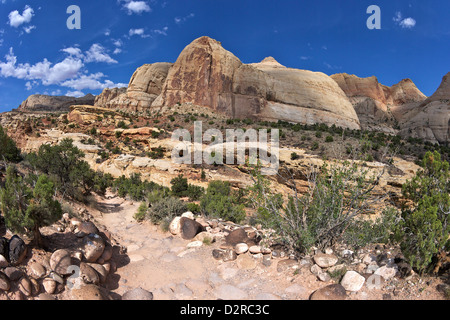 Hickman Bridge Trail, Navajo Dome, Capitol Reef National Park, Utah, United States of America, North America Stock Photo