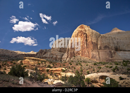 Hickman Bridge Trail, Navajo Dome, Capitol Reef National Park, Utah, United States of America, North America Stock Photo