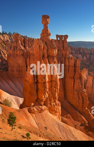 Thor's Hammer in early morning from Sunset Point, Bryce Canyon National Park, Utah, United States of America, North America Stock Photo