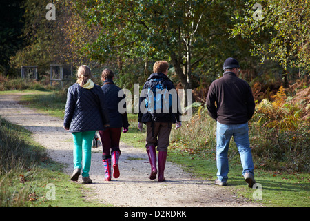 Family walking along pathway through the New Forest at Bolderwood in Autumn Stock Photo