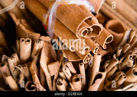 Cinnamomum verum, Cinnamon, Brown. Stock Photo