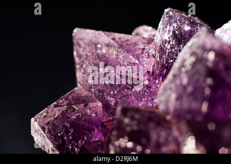Purple Sio2 Amethyst over black background, a violet variety of quartz, often used ...