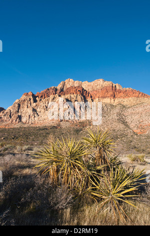 Red Rock Canyon outside Las Vegas, Nevada. Stock Photo