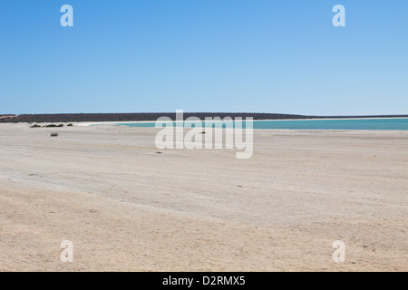 Shell Beach, Shark Bay, Western Australia Stock Photo