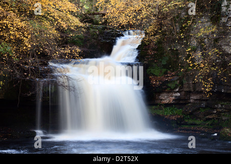 West Burton Waterfall in autumn, Wensleydale, North Yorkshire, England, United Kingdom, Europe Stock Photo